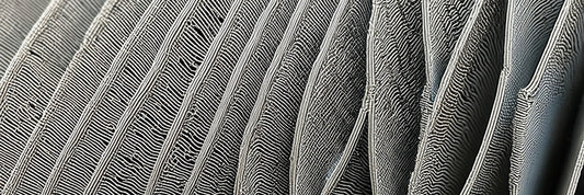 Beyond the Bargain Bin: Investing in a Durable Air Purifier for Long-Term Health and Well-being