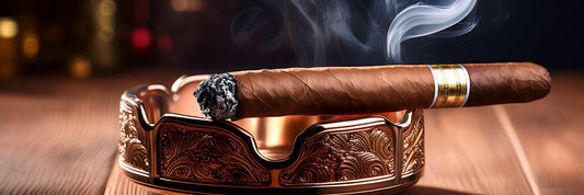 Choosing Your Cigar Smoke Solution: A Comparative Guide to Air Purifier Technologies
