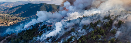 Breathing Easy at Home: How to Combat Wildfire Smoke and Protect Your Indoor Air Quality