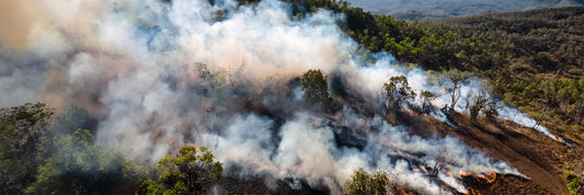 Temporary Commercial Smoke Relief: Can Portable Units Help During Short-Term Smoke Events?