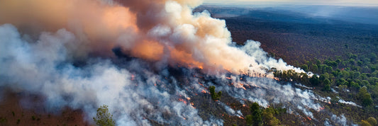 A Two-Pronged Defense: DIY vs. Professional Air Sealing and the Commercial Purifier Advantage for Wildfire Smoke